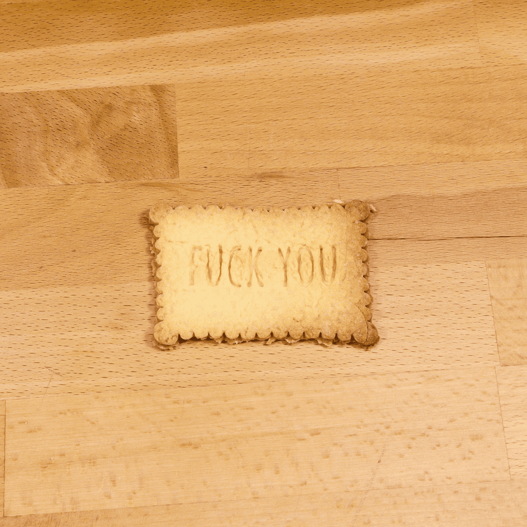 Fuck You – Image 2